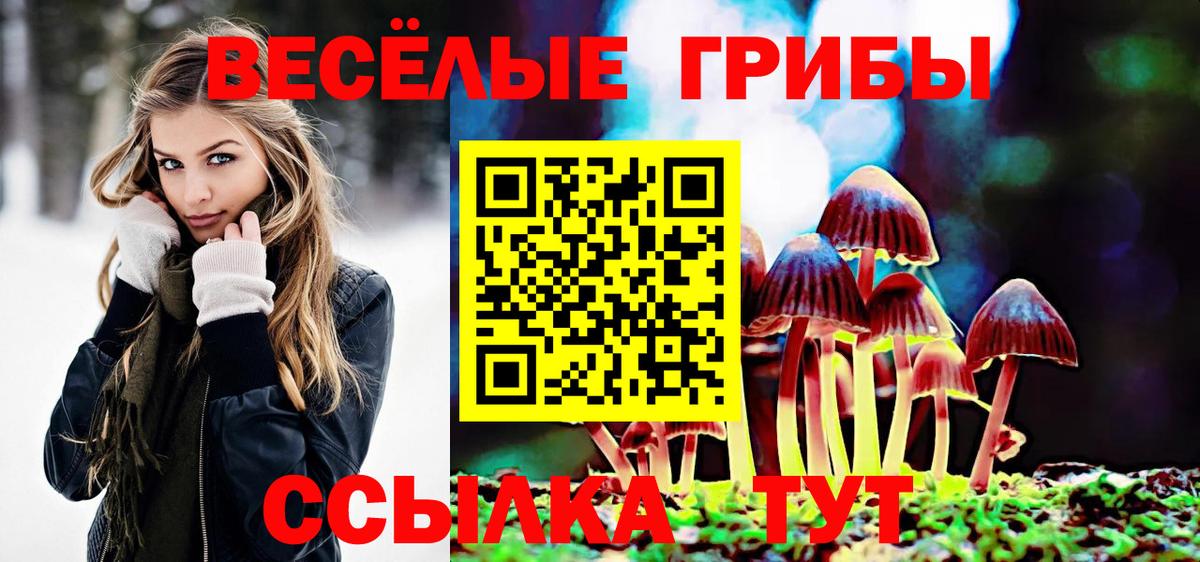 Псилоцибиновые грибы мухоморы  Вход с VPN  Тула 