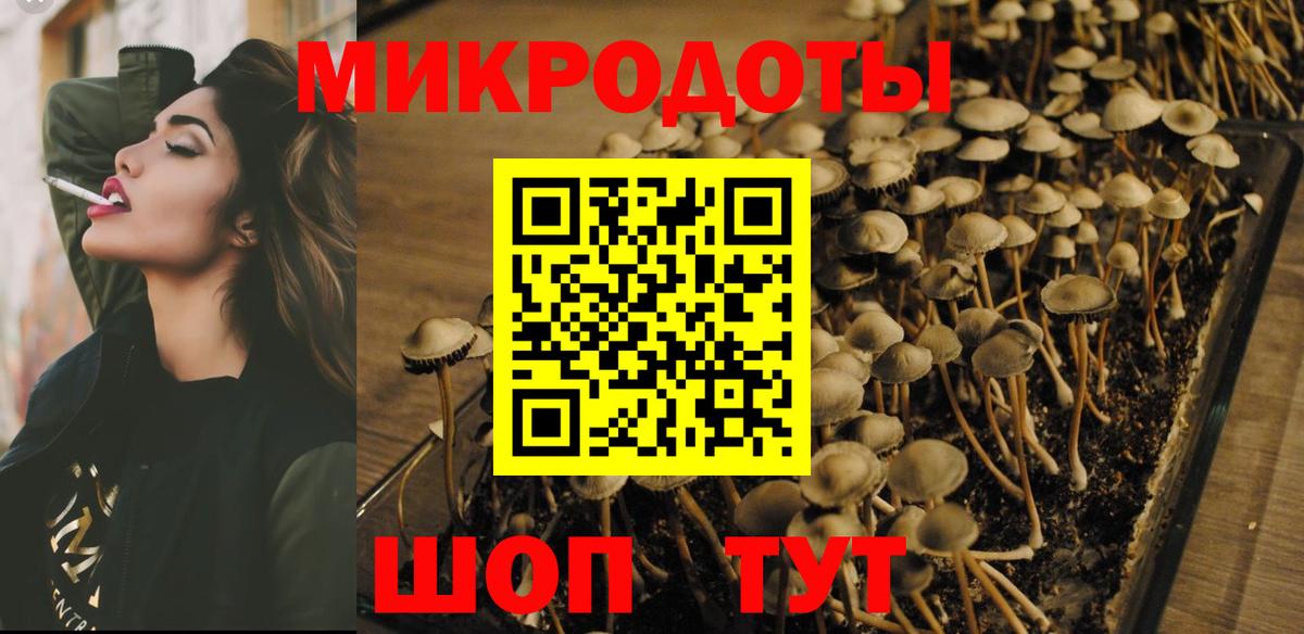 Галлюциногенные грибы ЛСД Тула